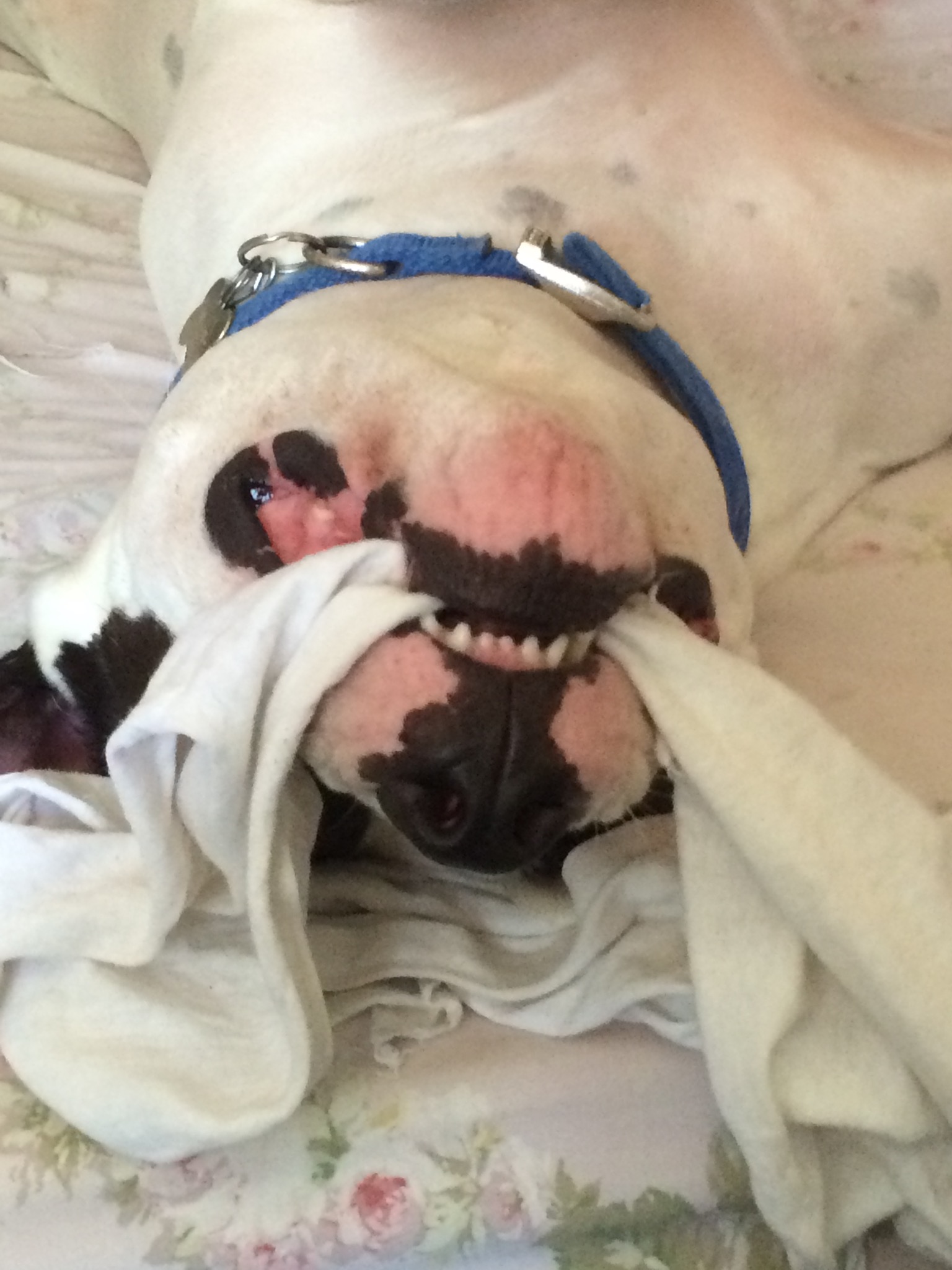 Kai the church mascot being goofy